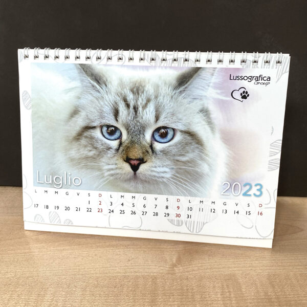 Calendario da tavolo 21x14 cm - immagine 2