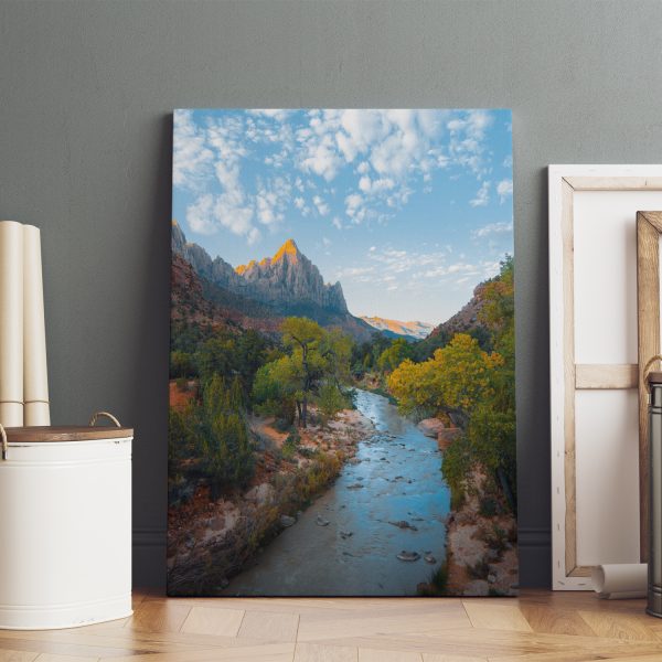 Canvas - immagine 4