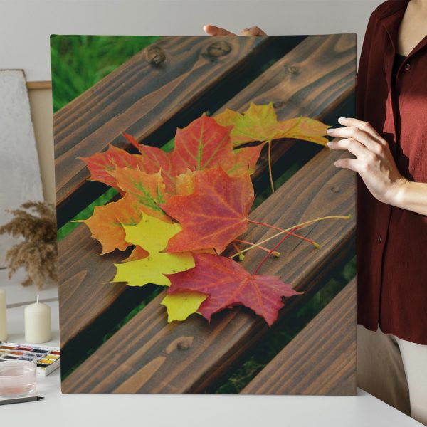 Canvas - immagine 3