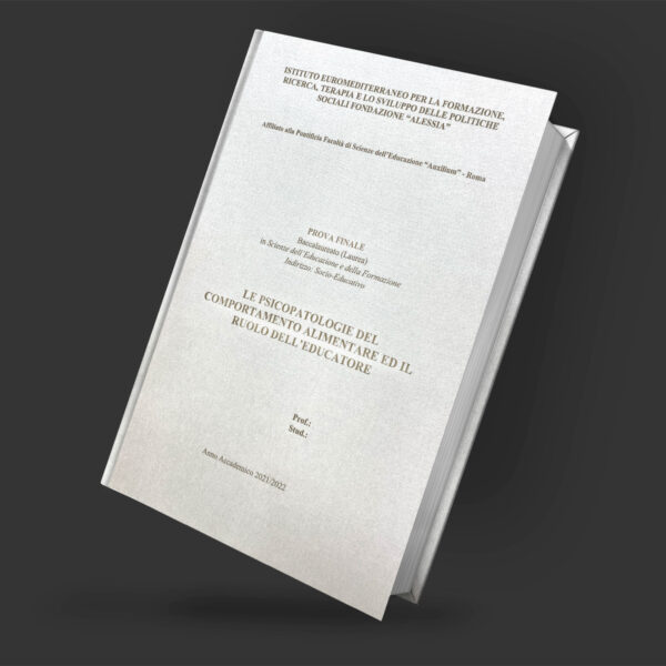 Tesi di Laurea - immagine 8