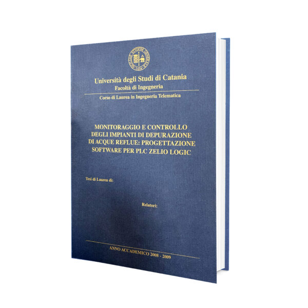 Tesi di Laurea - immagine 5