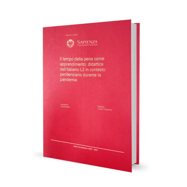 Tesi di Laurea - immagine 7